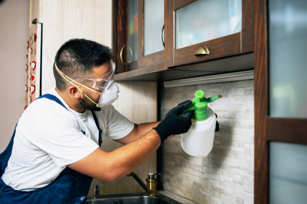 Best Pest Inspection Near Me  in Palm River Clair Mel, FL