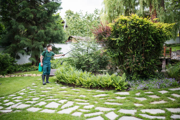 Professional Pest Control in Palm River Clair Mel, FL