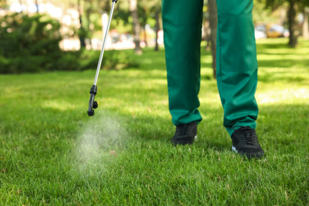 Best Pest Removal Services  in Palm River Clair Mel, FL