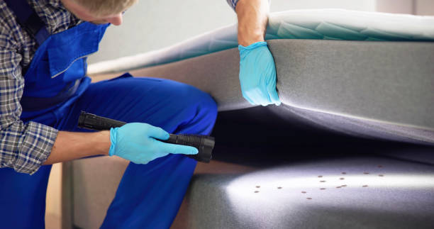 Best Local Pest Control Services  in Palm River Clair Mel, FL