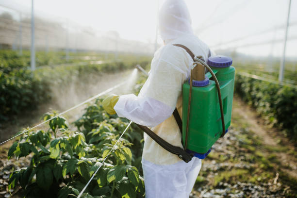 Best Pest Control Near Me in Palm River Clair Mel, FL
